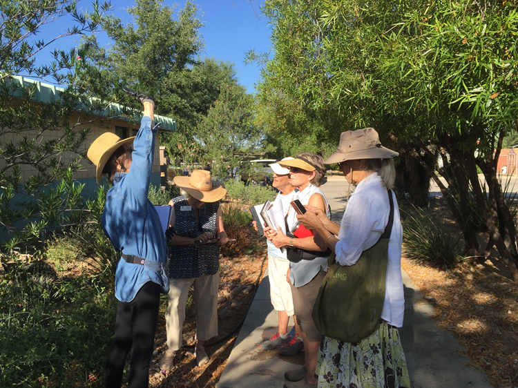 Group of observers looks at plants.